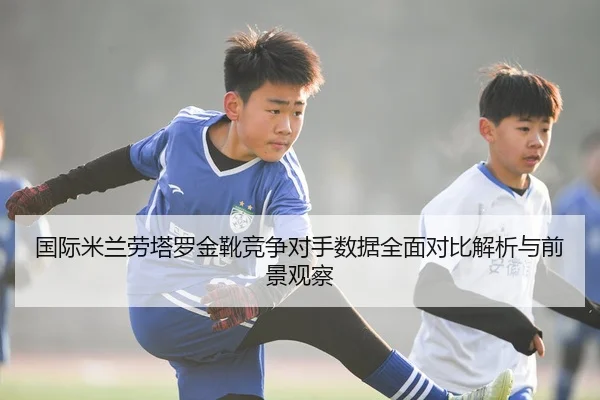 国际米兰劳塔罗金靴竞争对手数据全面对比解析与前景观察